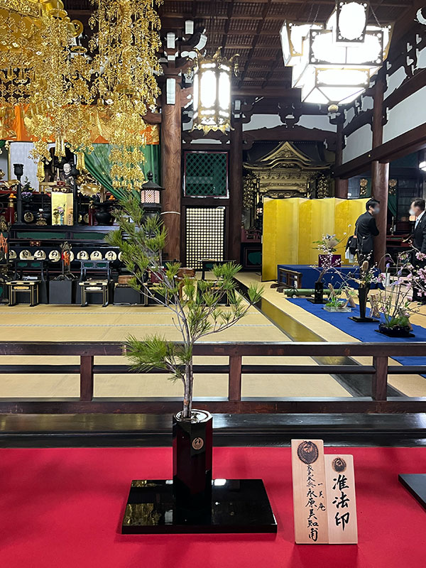 2023年　華道本能寺いけばな展