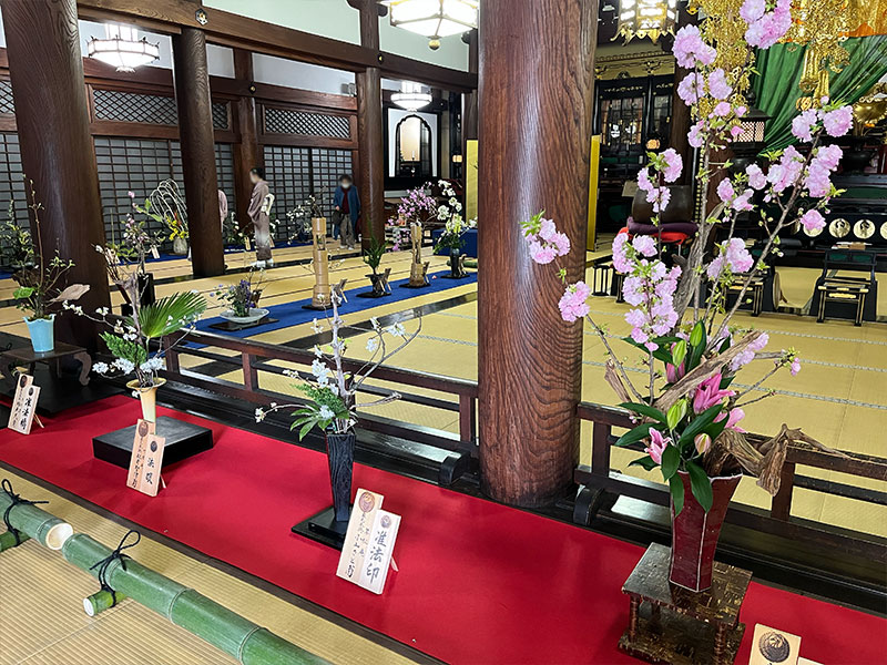 2023年　華道本能寺いけばな展