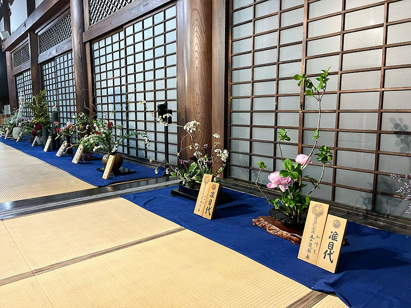 2024年　華道本能寺いけばな展