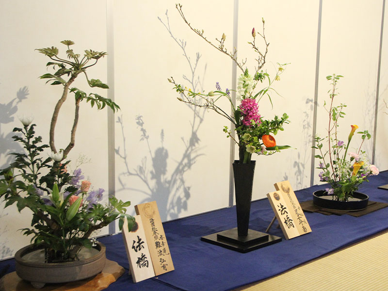 2024年　華道本能寺いけばな展