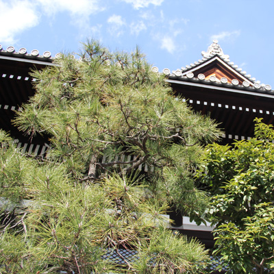 本能寺の縁起