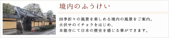 境内のご案内